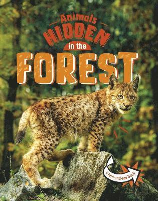 Jessica Rusick - Animals Hidden in the Forest, Häftad