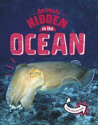 Jessica Rusick - Animals Hidden in the Ocean, Häftad