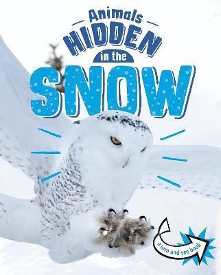Jessica Rusick - Animals Hidden in the Snow, Inbunden