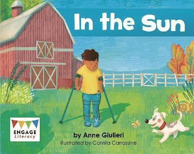 Anne Giulieri - In the Sun, Häftad