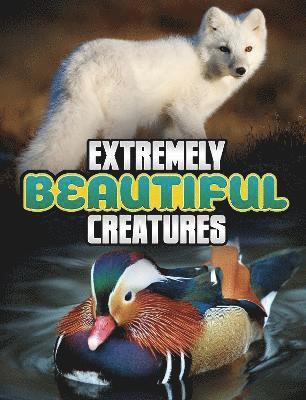 Megan Cooley Peterson - Extremely Beautiful Creatures, Inbunden