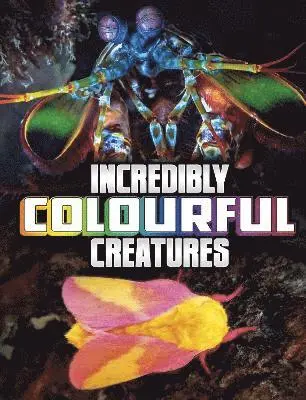 Megan Cooley Peterson - Incredibly Colourful Creatures, Häftad