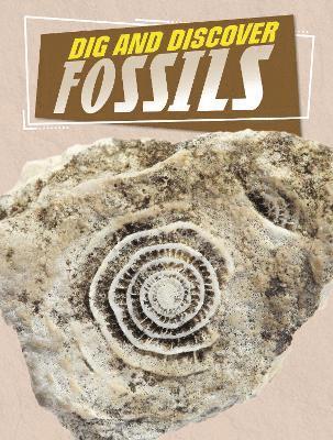 Anita Nahta Amin - Dig and Discover Fossils, Häftad
