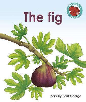 Paul George - Fig, Häftad