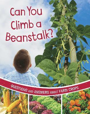 Katherine Rawson - Can You Climb a Beanstalk?, Häftad. Tillgänglighet: Lägg i varukorg