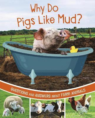 Katherine Rawson - Why Do Pigs Like Mud?, Inbunden. Tillgänglighet: Lägg i varukorg