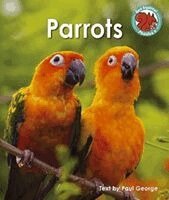 Paul George - Parrots, Häftad