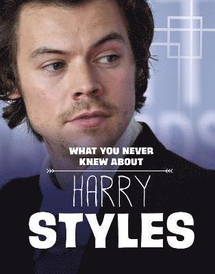 Dolores Andral - What You Never Knew About Harry Styles, Inbunden