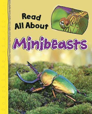 Mae Respicio - Read All About Minibeasts, Inbunden