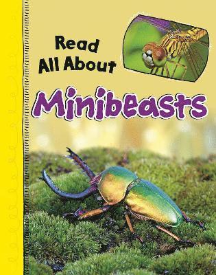 Mae Respicio - Read All About Minibeasts, Häftad