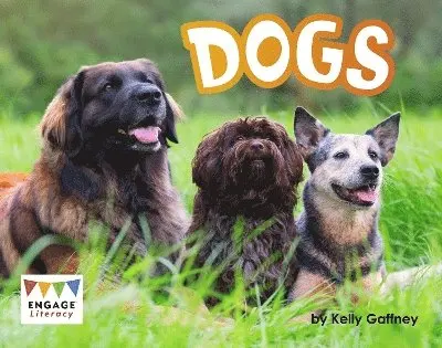Kelly Gaffney - Dogs, Häftad. Tillgänglighet: Lägg i varukorg