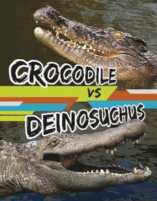 Charles C. Hofer - Crocodile vs Deinosuchus, Inbunden