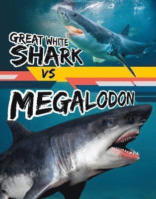 Charles C. Hofer - Great White Shark vs Megalodon, Inbunden