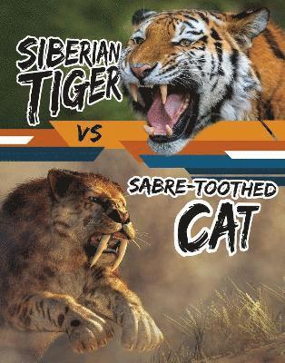 Charles C. Hofer - Siberian Tiger vs Sabre-Toothed Cat, Inbunden