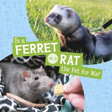 Cara Krenn - Is a Ferret or a Rat the Pet for Me?, Inbunden