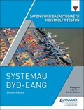 Safon Uwch Daearyddiaeth Meistroli'r Testun: Systemau Byd-eang