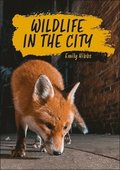Reading Planet KS2: Wildlife in the City - Earth/Grey