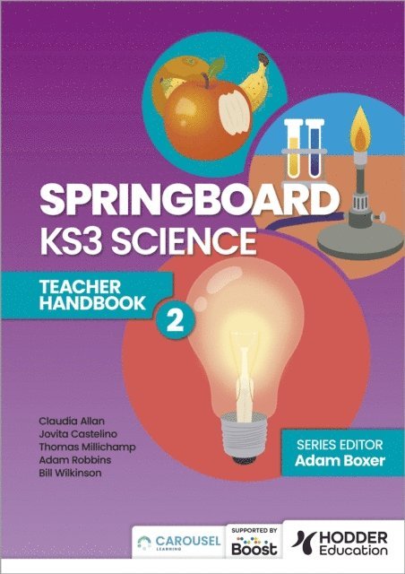 Bill Wilkinson, Thomas Millichamp, Jovita Castelino, Claudia Allan, Adam Robbins, Adam Boxer - Springboard: KS3 Science Teacher Handbook 2, E-bok