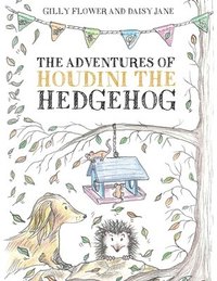 Adventures of Houdini the Hedgehog