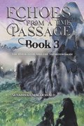 Echoes from a Time Passage: Book 3