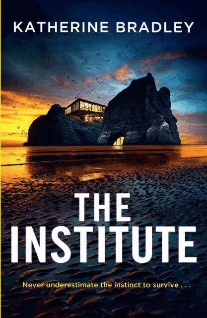 Katherine Bradley - Institute, E-bok