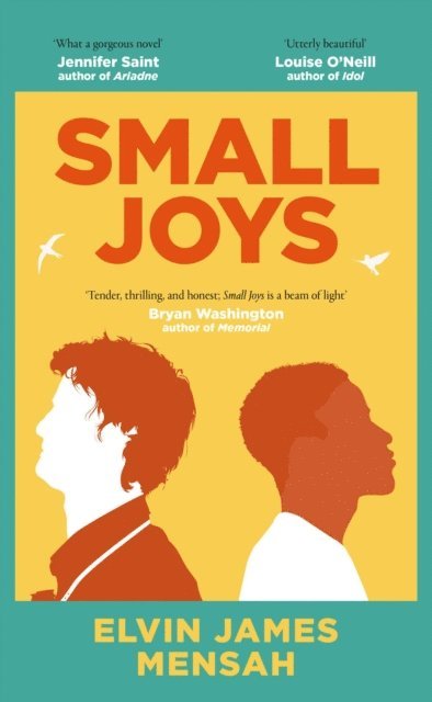 Elvin James Mensah - Small Joys, E-bok