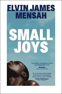 Elvin James Mensah - Small Joys, Häftad
