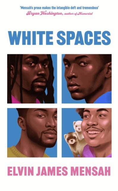Elvin James Mensah - White Spaces, E-bok