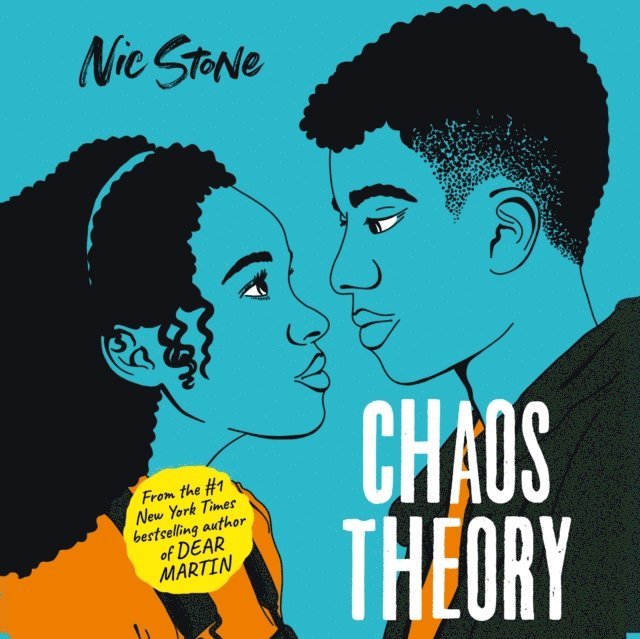 Nic Stone - Chaos Theory, Ljudbok
