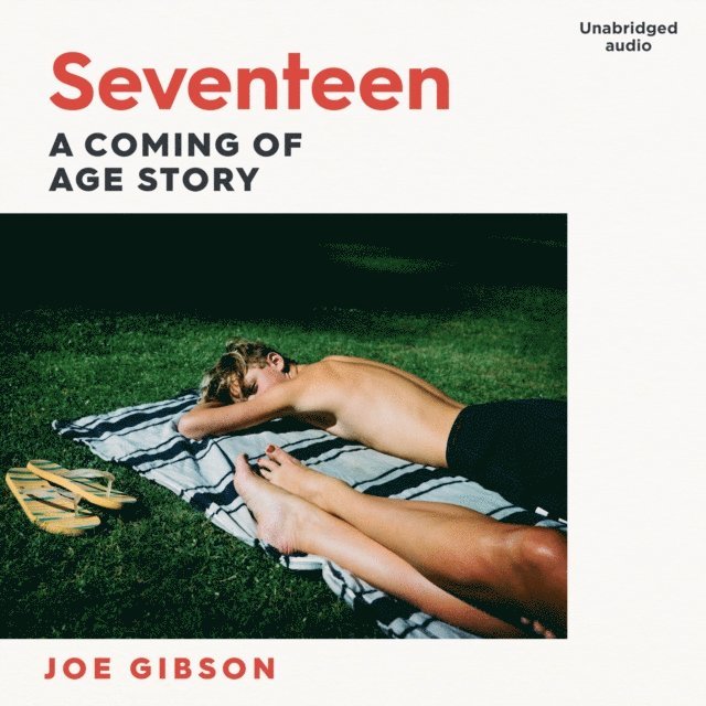 Joe Gibson - Seventeen, Ljudbok