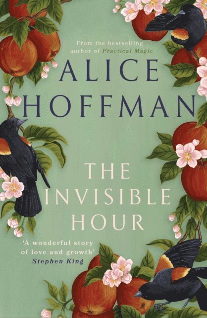 Alice Hoffman - Invisible Hour, E-bok
