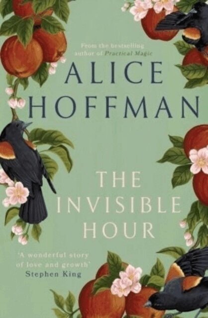 Alice Hoffman - Invisible Hour, Häftad