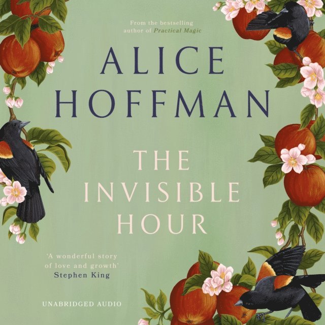 Alice Hoffman - Invisible Hour, Ljudbok
