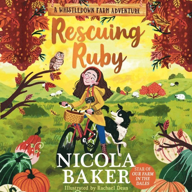 Nicola Baker - Rescuing Ruby, Ljudbok