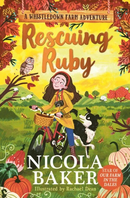 Nicola Baker - Rescuing Ruby, E-bok