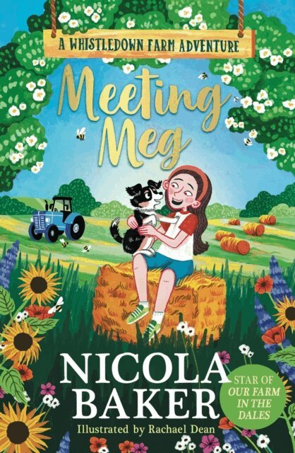 Nicola Baker - Meeting Meg, E-bok