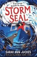 Storm Seal