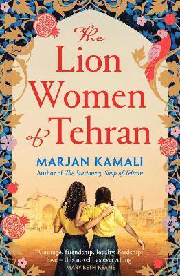 Lion Women of Tehran av Marjan Kamali