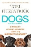 Dogs And Their Humans