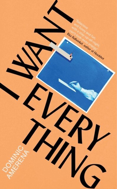 Dominic Amerena - I Want Everything, E-bok