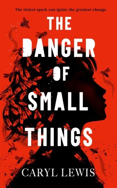 Caryl Lewis - Danger of Small Things, E-bok