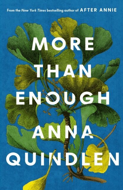 Anna Quindlen - More Than Enough, E-bok