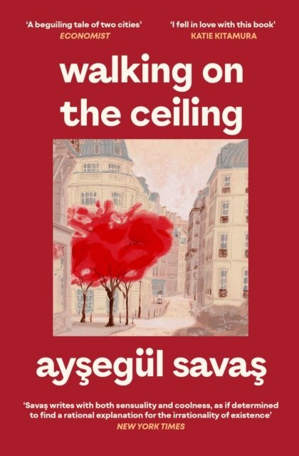 Aysegul Savas - Walking on the Ceiling, E-bok