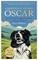 Sheepdog Named Oscar