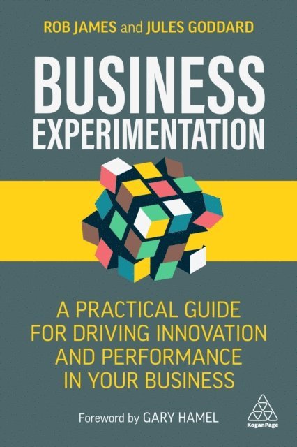 Rob James, Jules Goddard - Business Experimentation, E-bok