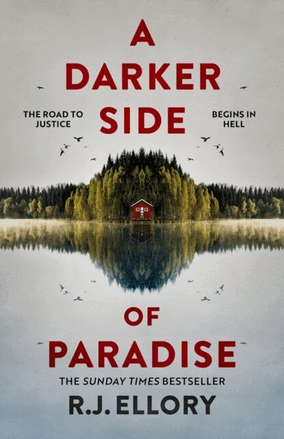 R.J. Ellory - Darker Side of Paradise, E-bok