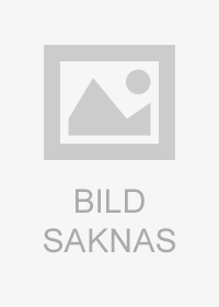 George Pelecanos - Blue Flame, E-bok
