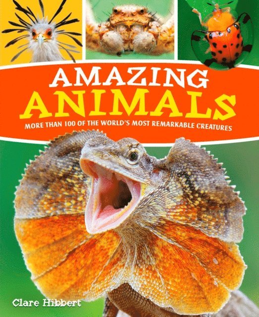 Claire Hibbert - Amazing Animals, E-bok