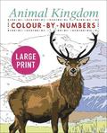 Large Print Animal Kingdom Colour-by-Numbers