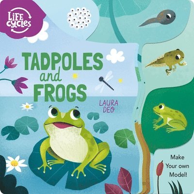 Annabel Savery - Life Cycles: Tadpoles and Frogs: Make Your Own Model!, Kartonnage